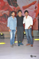 Sailaja Reddy Alludu Movie Pre Release Event Photos